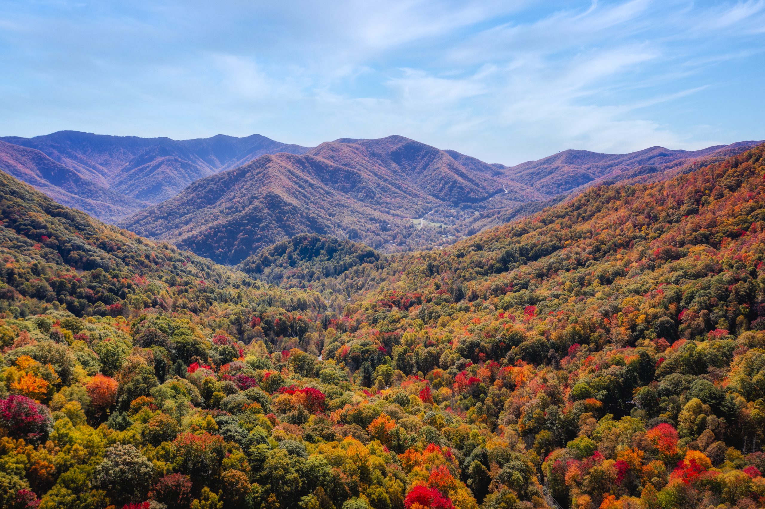 Autumn in the WNC Mountains