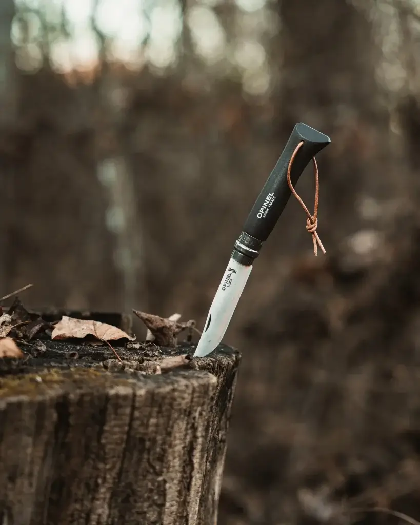 opinel #8 knife stuck into a tree stump in the smoky mountains of waynesville, north carolina during a camping trip