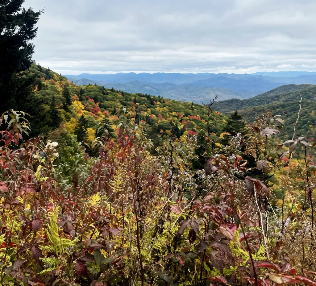 views of the blue ridge parkway in the fall with colorful leaves